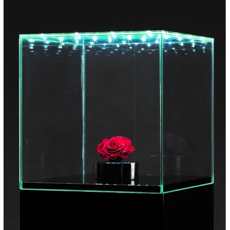 Urna-vitrina de vidrio con puerta y vidrio-led
