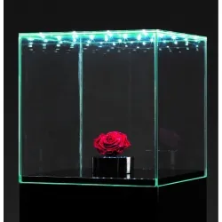 Urna-vitrina de vidrio con puerta y vidrio-led