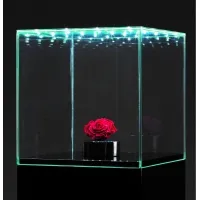 Urna-vitrina de vidrio con puerta y vidrio-led