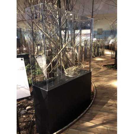 Plexiglas beschermkap | plexiglas stolp | maquettekap op maat Plexiglas beschermkap | plexiglas stolp | maquettekap op maat