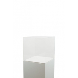 Plexiglas beschermkap | plexiglas stolp | maquettekap op maat