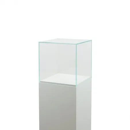 Urna protectora vidrio