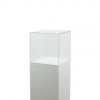 Urna protectora vidrio