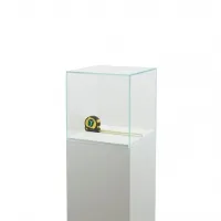 Urna protectora vidrio
