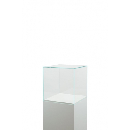 Urna protectora vidrio