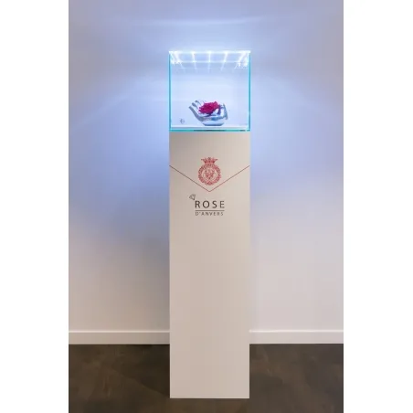 Urna-vitrina de vidrio con puerta y vidrio-led
