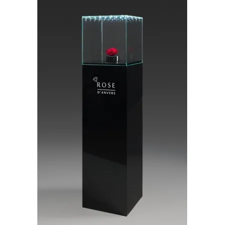 Urna-vitrina de vidrio con puerta y vidrio-led