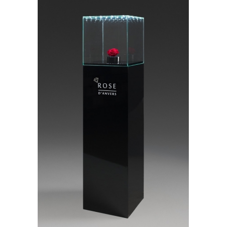 Urna-vitrina de vidrio con puerta y vidrio-led