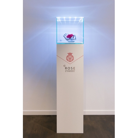 Urna-vitrina de vidrio con puerta y vidrio-led