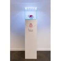 Urna-vitrina de vidrio con puerta y vidrio-led