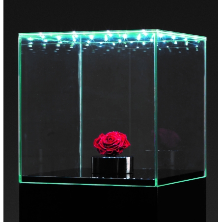 Urna-vitrina de vidrio con puerta y vidrio-led