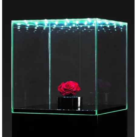 Urna-vitrina de vidrio con puerta y vidrio-led