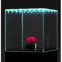 Urna-vitrina de vidrio con puerta y vidrio-led