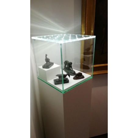 Urna-vitrina de vidrio con puerta y vidrio-led