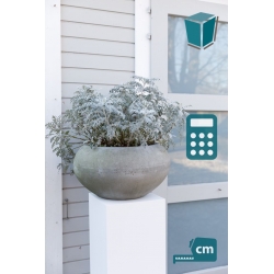 Peana Solits blanca-exterior