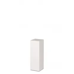 copy of Plexiglas Beschermkap 46 x 46 x 45,5 cm- SALE