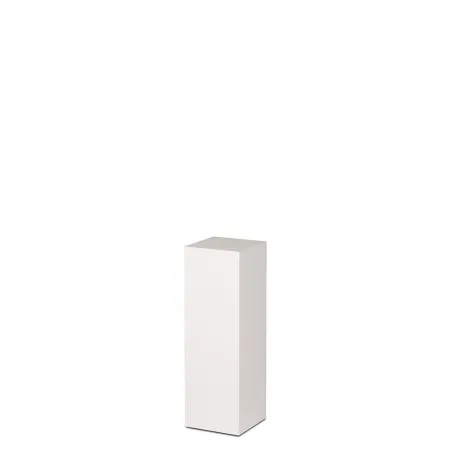 copy of Plexiglas Beschermkap 46 x 46 x 45,5 cm- SALE