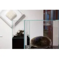 Urna protectora vidrio